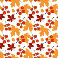 Maple leaves berries seamless pattern, flat design template. Autumn background vector