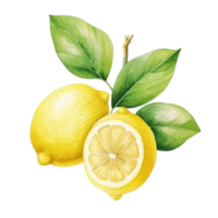 Watercolor lemon isolated. Illustration AI Generative png