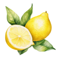 Watercolor lemon isolated. Illustration AI Generative png