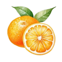 acuarela naranja fruta. ilustración ai generativo png