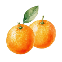 Watercolor orange fruit. Illustration AI Generative png