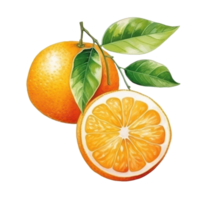 vattenfärg orange frukt. illustration ai generativ png