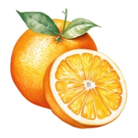 Aquarell Orange Frucht. Illustration ai generativ png
