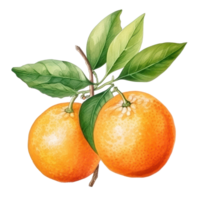 aquarelle Orange fruit. illustration ai génératif png