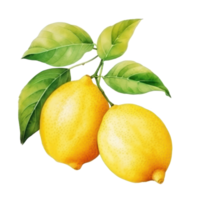 aguarela limão isolado. ilustração ai generativo png