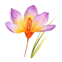 Saffron flower watercolor. Illustration AI Generative png