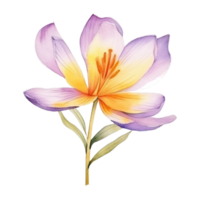 Saffron flower watercolor. Illustration AI Generative png