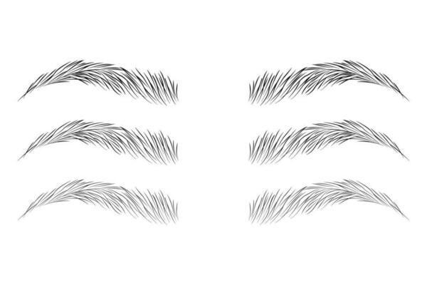 How to Draw a Male Eyebrow  RapidFireArt