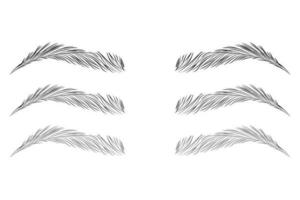 Eyebrow shape set, Brown eyebrows isolated on white background, Brown eyebrow vector, Fashion eyebrows of various shapes and types, Brown eyebrow bag vector