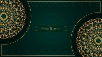 Green background with mandala ornament vector