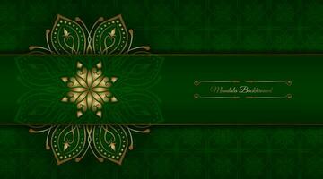 luxury background  with mandala ornament vector