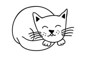 Hand drawn cat clipart. Cute pet doodle vector