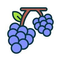 grape icon for your website, mobile, presentation, and logo design. vector