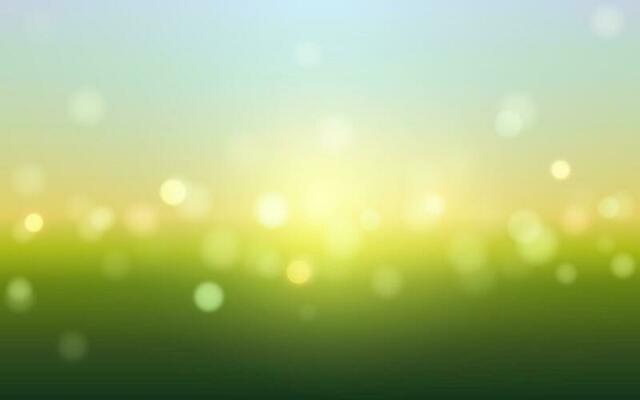 Flower garden bokeh soft light abstract backgrounds, Vector eps 10 illustration bokeh particles, Backgrounds decoration