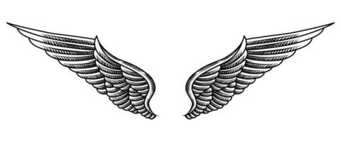 vector angel wings tribal tattoo