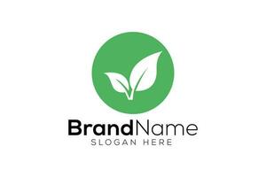 Leaf logo design template vector