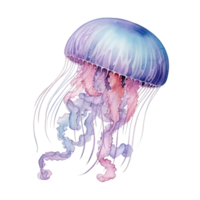 Watercolor jellyfish isolated. Illustration AI Generative png