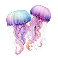 Watercolor jellyfish isolated. Illustration AI Generative png