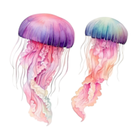 Watercolor jellyfish isolated. Illustration AI Generative png
