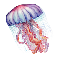 Watercolor jellyfish isolated. Illustration AI Generative png