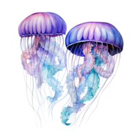 Watercolor jellyfish isolated. Illustration AI Generative png