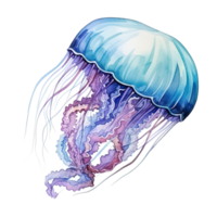 Watercolor jellyfish isolated. Illustration AI Generative png