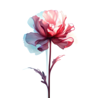 Watercolor flower. Illustration png