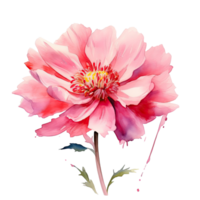 Watercolor flower. Illustration AI Generative png