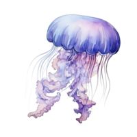 Watercolor jellyfish isolated. Illustration AI Generative png