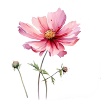 Aquarell Blume. Illustration ai generativ png