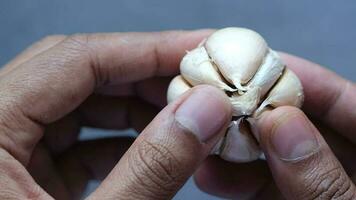 close up of garlic on black background video