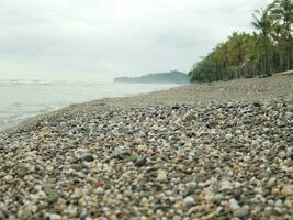 Black beach pebbles photo