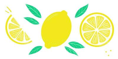 Lemon vector clip art set, flat illustration