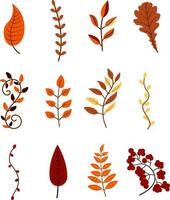 Autumn leaves and branches of different trees colorful illustration vector