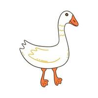 White goose walks. Vector hand drawn bird