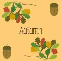 Autumn background with oak branches and acorns vector