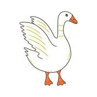 White goose walks with its wings up. Vector