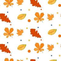 a set of autumn patterns on a white background. Leaves of chestnut, maple, oak. Vector