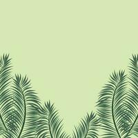 Beautiful background with tropical leaves vector