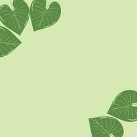 Beautiful background with tropical leaves vector