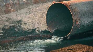 A large rusty pipe from which polluted industrial water flows. Environmental problem of water pollution. video