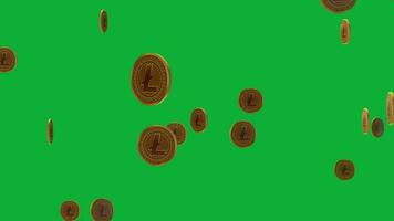 erhöhen, ansteigen Engagement mit ein animiert Litecoin Präsentation zum Ihre Projekt, erstellen ein Beeindruckend Faktor zum Ihre Projekt mit 3d Münze Animation auf Grün Bildschirm video