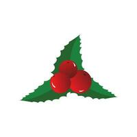 Christmas Holly Leaf Clipart vector