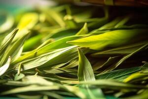 freshly cut green tea leaves on a wooden tray close-up generative ai photo