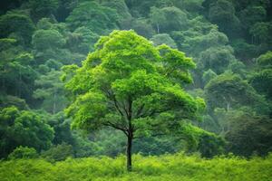 beautiful green tree generative ai photo