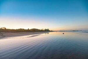 Turtles nesting during sunrise at Ostional beach in Costa Rica photo