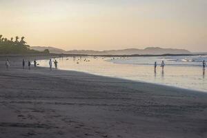 Turtles nesting during sunrise at Ostional beach in Costa Rica photo