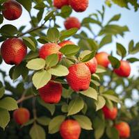 a variety fruits fresh healthy. photo