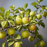 manzana en un árbol, fruta. ai generativo foto