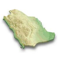 3d isometric relief map of Saudi Arabia vector